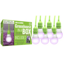 Miracle LED Almost Free Energy Red & Blue Spectrum Hi-Yield Plant Growth Greenhouse in a Box Single-Socket 6-Foot Corded LED Grow Light Bulb Kit (6-Pack)
