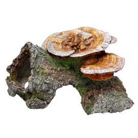Nobby Wood Cave with Mushrooms Aquarium Ornaments, 18 x 19 x 10 cm
