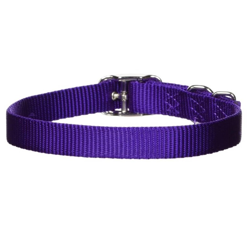 Hamilton Single Thick Nylon Buckle Dog Collar for Small &