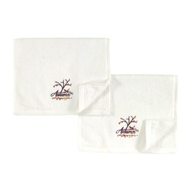 Decorative Fall Hand Fingertip Towels: Plush Velour Cotton Embroidered Autumn Branch with Colorful Leaves and Bird Design, Set of 2 12" x 18"