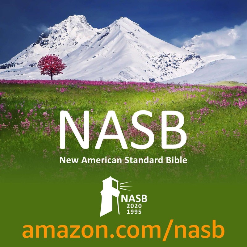 NASB Large Print Compact Bible, Black, Leathertex, 1995 text