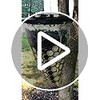 Flies Be Gone Fly Trap - Natural Protein-Powered Attractant