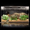 BEGONDIS 2Pcs Reptile Artificial Plants, Terrarium Plants Decorations Supplies, Aquarium