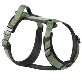 PawsPassion Dog Harness for X-Large Dogs, No Pull Dog Harness Easy Walk with Metal Hardware, Ergonomic Y-Shaped Design, Soft Padding, Padded Handle, Durable High-Tensile Nylon (Evergreen, XL)