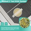 Mold Test Kit for Home Detection: 8 Simple DIY Science