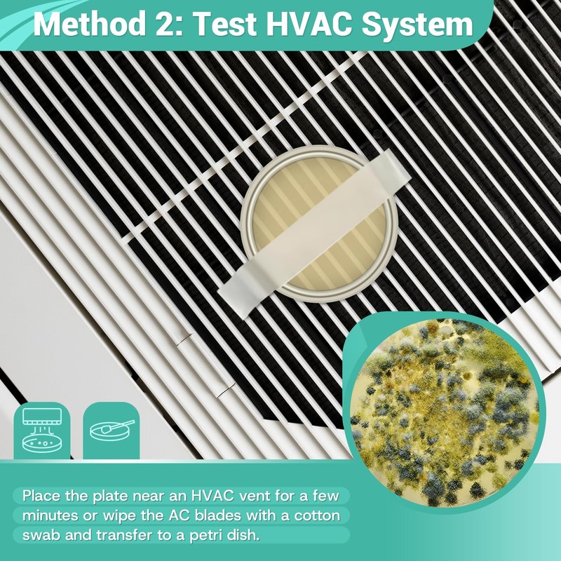 Mold Test Kit for Home Detection: 8 Simple DIY Science