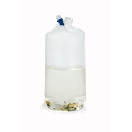 GARNELEN4YOU® Transport Bags | 50 Bags in 20 x 44 cm + 50 Gummies | for Shrimps, Fish, Snails & Plants | Made in Germany | Fish Bag Fish Bag Transport Bag