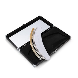 Professional 3D R-28 Dental Tooth Teeth Whitening Shade Guide for Dentist Tracking Teeth Whitening Course, Tooth Shade Guide with 28 Colors