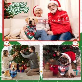 Sanwuta 5 Pcs Christmas Dog Bandanas Funny Plaid Dog Triangle Scarf Bibs with Sayings Reversible Adjustable Holiday Dog Kerchief Washable Pet Costume Accessory for Small Medium Large(Vivid Style,L)