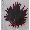 autumn leaves (red, 10 sheets)