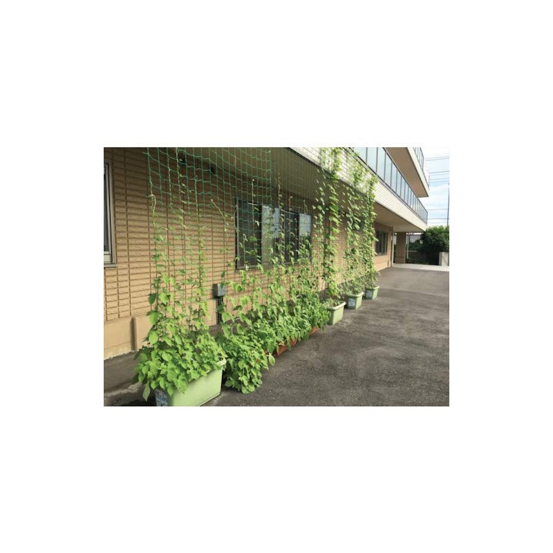 Daio Vine Net 3.9 inches (10 cm), Green, 5.9 x