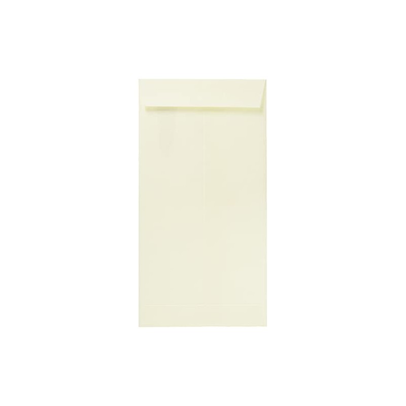 Iyo Yuu Center V112-04-3 Celebration Bag, Handwritten Gold Seal, A,