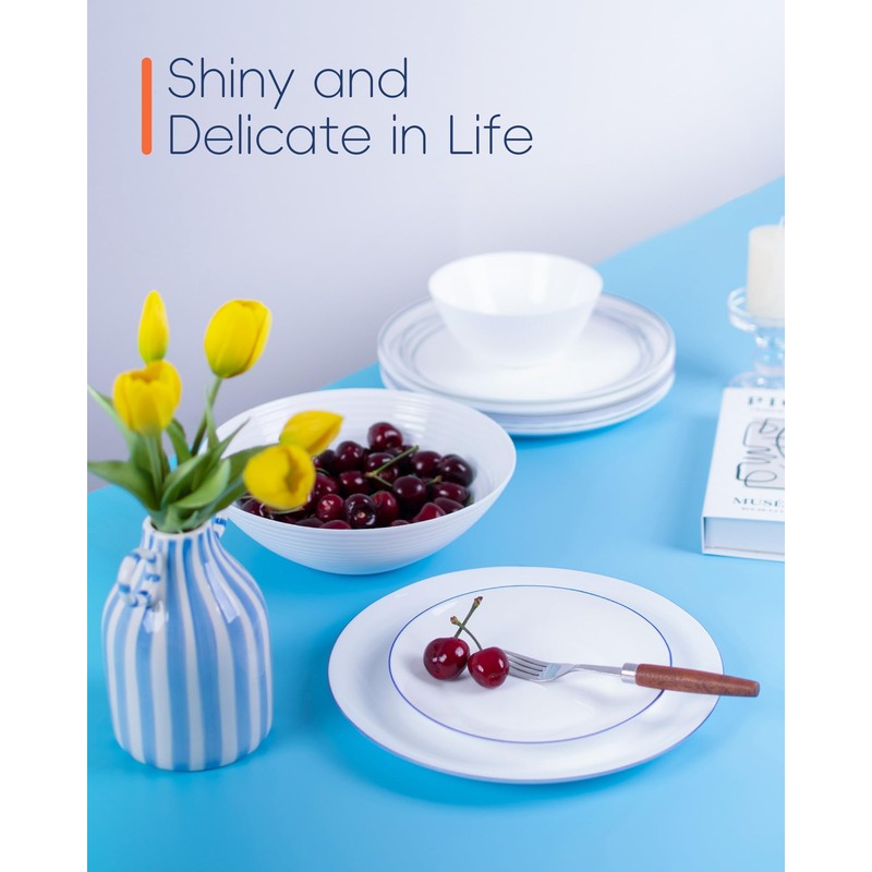 LaGlint 10.5 inch Dinner Plate Set of 6, Lightweight Round
