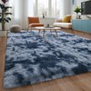 Jocovieh Super Soft Shaggy Rugs Fluffy Carpets, 4x6 Feet Indoor
