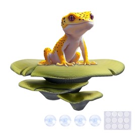 Westant Mushroom Decor for Reptile Tank, Fish Tank, Pet-Safe Bearded Dragon Tank Accessories, Realistic Terrarium Plants for Leopard Geckos, Crested Geckos, Tree Frogs, Snakes (Forest, Trio Cap)