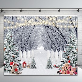 Caaerttply Winter Scene Photography Backdrops White Snow Forest Backdrop Winter Christmas Snowflake Wonderland Forest Path Photo Background Christmas Party Decoration Kids Adults Photo Props 10x8ft