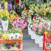 Zerdyne 6 Pack Flower Buckets for Cut Flowers, 12 Inch