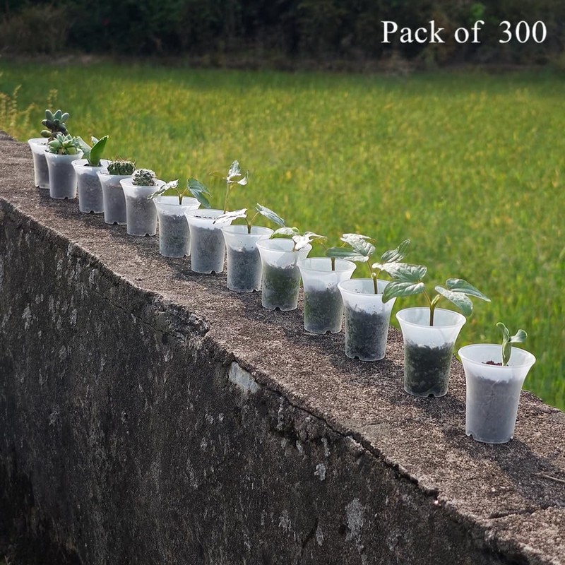 BangQiao 300 Pack 1.80 Inch Tiny Clear Plastic Nursery and