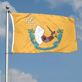 Fyon Resistance to Tyrants Flag Tapestry 3x5Ft Vivid Color Double Stitched Polyester Banner (Double-Sided 3PLY)