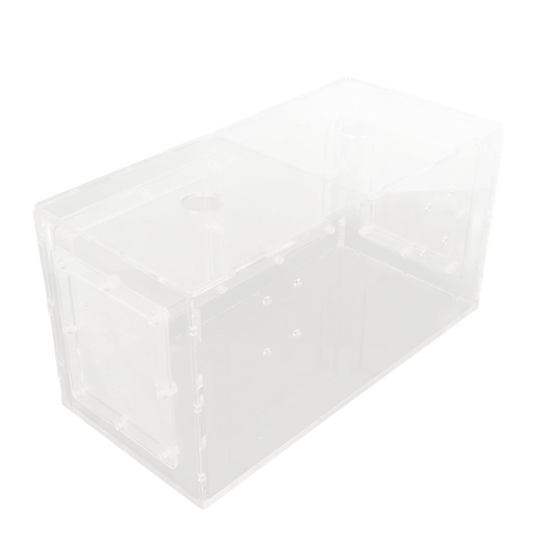 Fish Breeding Isolation Box Transparent Mesh Side Fish Tank Incubator