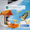 Bird Feeder with Camera with Solar Panel, Smart Bird Feeder