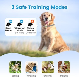 Dog Shock Collar, 2024 Newest Dog Training Collar with Remote 2600FT, IPX7 Waterproof Rechargeable E-Collar, 3 Training Modes for Medium Large Dogs