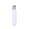 Rechargeable Ultrasonic Facial Skin Pore Clean Scrubber Exfoliator Beauty Machine