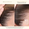 Shampoo Pantene Anticaída+ Biotinamina B3 510 ml
