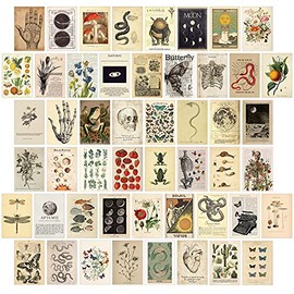 KOSKIMER Nature Vintage Aesthetic Photo Collage Kit, 50 Set 4x6 Inch Cottagecore Wall Collage Kit Aesthetic Pictures, Trendy Bedroom Decor for Girls, Botanical VSCO Posters for Dorm Room Decor, Boho Aesthetic Collage Kit (50 Set)