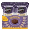 Vermont Nut Free Chocolates Sun Blossoms® (Dark Chocolate), 12 Count,