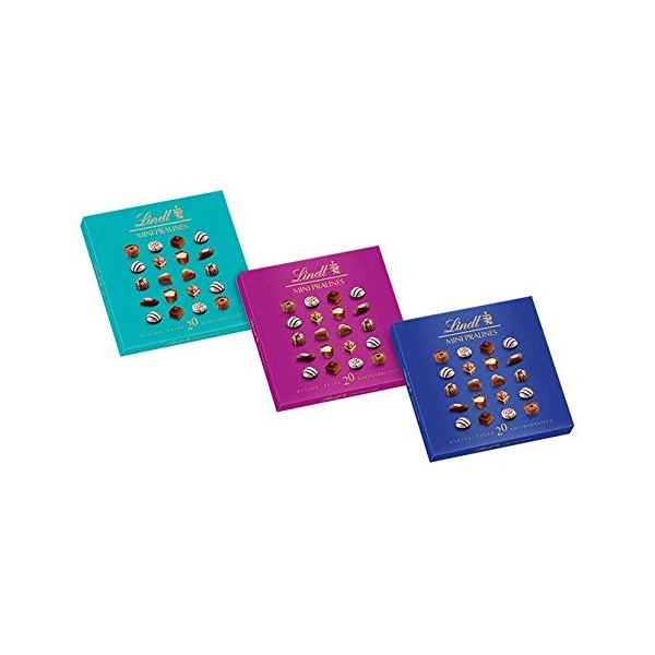 Lindt Mini Pralinés Small Fine 20 Treasures 5 x 100