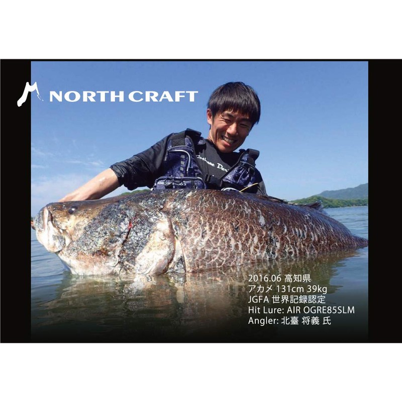 North Craft (North Craft) Lure eaoguru 70slm aog70slm – spch (sukepa-rutya-to)
