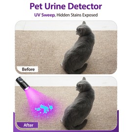 Black Light Flashlight, UV Light USB C Rechargeable with LCD Display, Zoomable Woods Lamp 2N1, 395NM Blacklight for Pet Urine Detection, Resin Curing, Rocks, Travel, Minerals, Scorpion, Glass, Leak