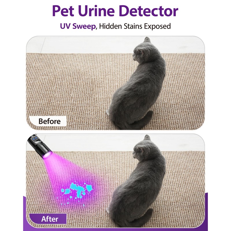 Black Light Flashlight, UV Light USB C Rechargeable with LCD
