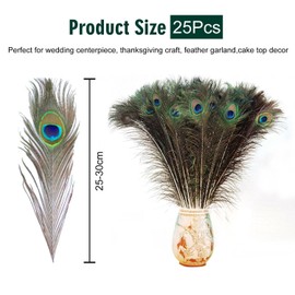 FFDHWU 25 Pieces Of Peacock Feathers, Home Decoration, Diy Handicraft Materials, Feather Decorations, Creative Decorations