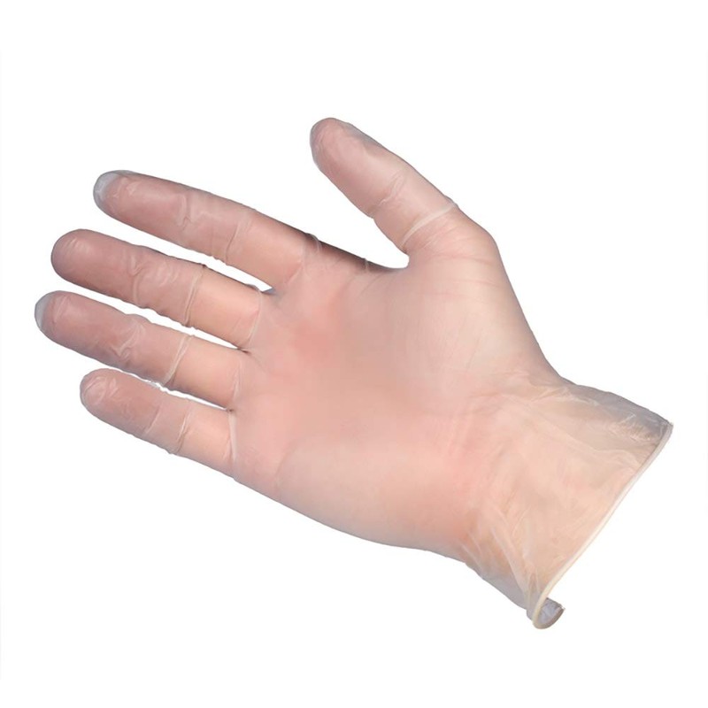 Gloves4u Powder Free Vinyl Gloves - Clear - Large (1