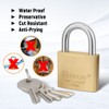 Hotehce 4-Piece Brass Padlock Set 40 mm Fixed Brass Padlocks