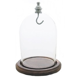 3"x4" Pocket Watch Glass Display Dome Cloche with Real Walnut wood Base & Silver hook