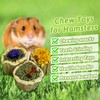 BNOSDM Hamster Chew Treats Chinchilla Natural Petal Snacks Rabbit Papaya