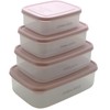 Willmax EMBALANCE Storage Container, Rectangle Container, XS 12.5 fl oz