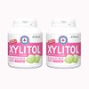 [Dental Only] Xylitol Gum Bottle Type, 90 Tablets (Muscat) (2