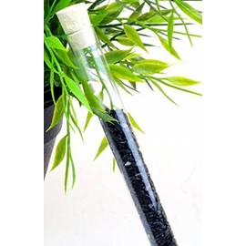 Aqua Lapis Gemstone Rod Protection Black Tourmaline Schorl Water Treatment Gemstone Water Rods 100% Natural Water Stones for Water Treatment Energy Work Minerals Decorative Stones I