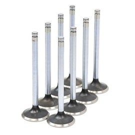 Michigan Motorsports Stock Replacement 1.550" LS Exhaust Valves -Fits Cathedral Port 243 799 706 862 317 241 853 806 Heads LS1 LS2 LS6 LQ4 LQ9 LC9 LMG LM7 (1)