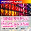 HOTOK Curing Agent with Tools PG80 Candy Color Royal Blue
