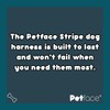 Petface Ocra Stripe Pattern Dog Harness, Large