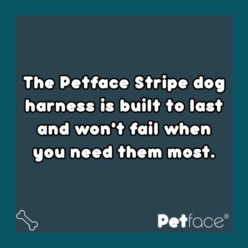 Petface Ocra Stripe Pattern Dog Harness, Large