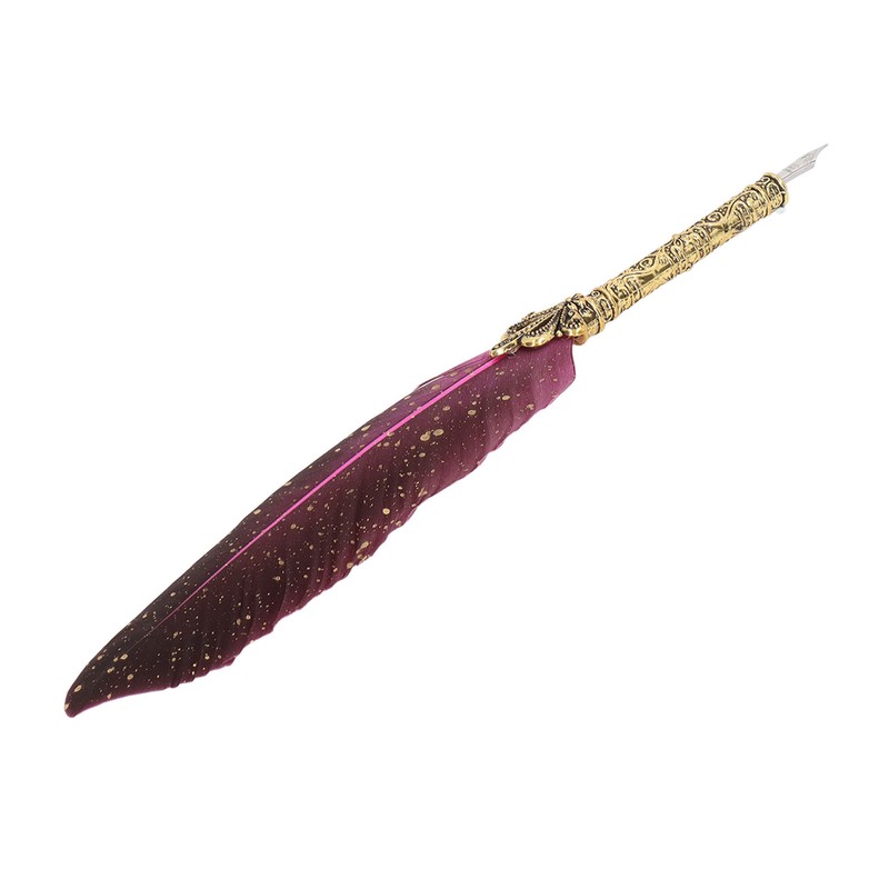 Feather Pen Set with 10 Interchangeable Nib Fire Lacquer Wax