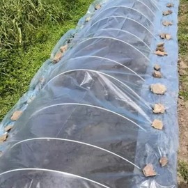 Agricultural Greenhouse Film - Small Size 2m x 10m 10m