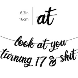 Pre-Strung 17th Birthday Banner Black Glitter 17th Birthday Party Decorations Boy Girls 17th Birthday Sign Gifts for Him Her look at you turning 17