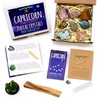 DANCING BEAR Capricorn Zodiac Healing Crystals Gift Set (14 Pc):